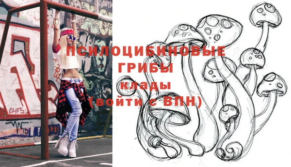 бутират Алексеевка