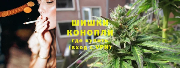 гидропоника Алзамай