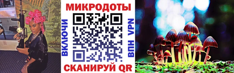 купить наркотики цена  Сосновый Бор  Псилоцибиновые грибы Magic Shrooms 