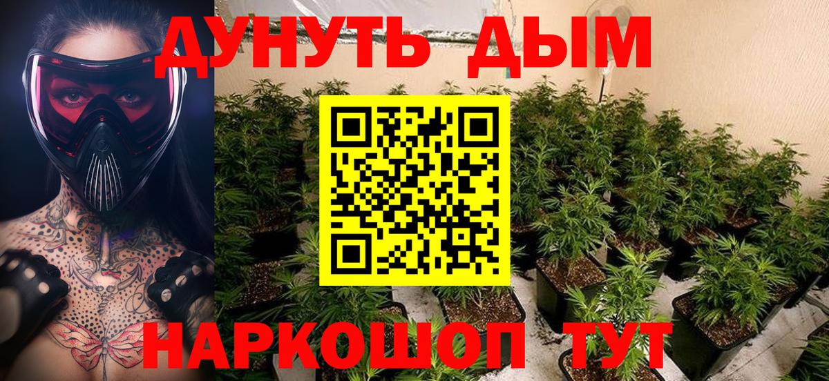Бошки Шишки марихуана  Вход с VPN  Канабис Bruce Banner  Марихуана Amnesia  Сосновый Бор  Каннабис ГИДРОПОН 